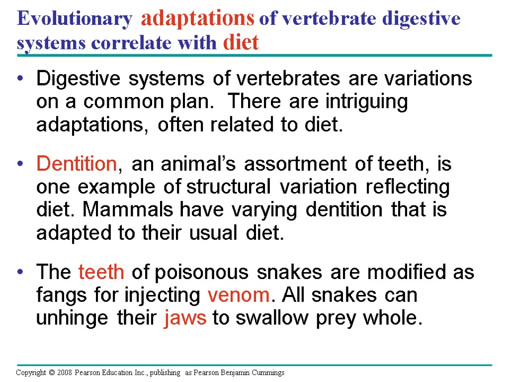 Evolutionary adaptations of vertebrate digestive systems correlate with diet Digestive systems of vertebrates are